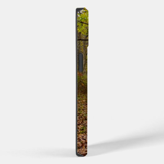Autumn Walkway Case-Mate iPhone Case (Achterkant / Rechts)