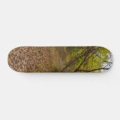 Autumn Walkway Skateboard (Horizontaal)