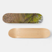 Autumn Walkway Skateboard (Horizontaal)
