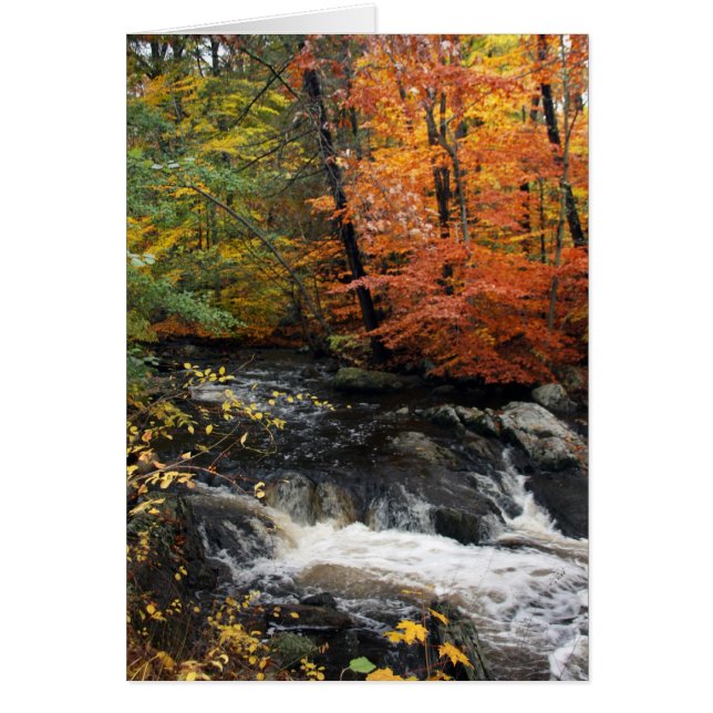 Autumn Waterfall (Voorkant)