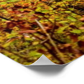 Autumn Waterfall Poster (Hoek)