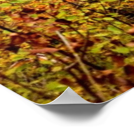 Autumn Waterfall Poster (Hoek)