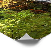 Autumn Waterfall Poster (Hoek)