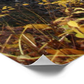 Autumn Waterfall Poster (Hoek)