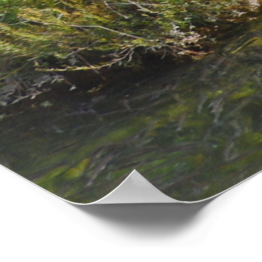 Autumn Waterfall Poster (Hoek)