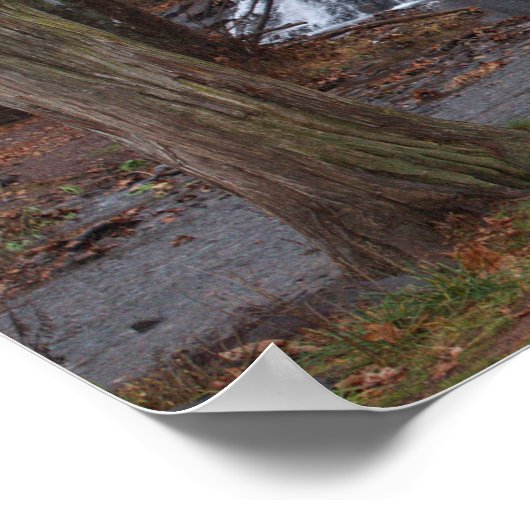 Autumn Waterfall Poster (Hoek)