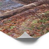 Autumn Waterfall Poster (Hoek)