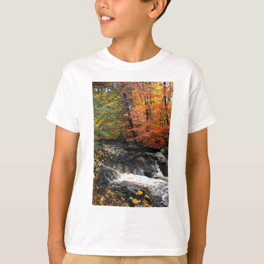 Autumn Waterfall T-shirt (Voorkant)