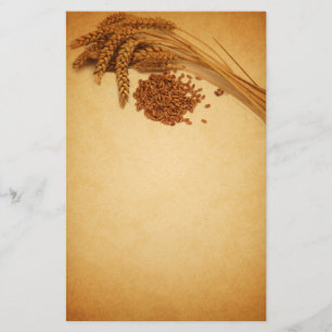  Autumn Wheat Corn - Stationery Letterhead Briefpapier