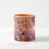 Autumn Whirl Mok (Midden)