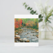 Autumn White Mountains New Hampshire Briefkaart (Staand voorkant)
