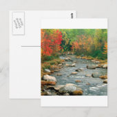 Autumn White Mountains New Hampshire Briefkaart (Voorkant / Achterkant)