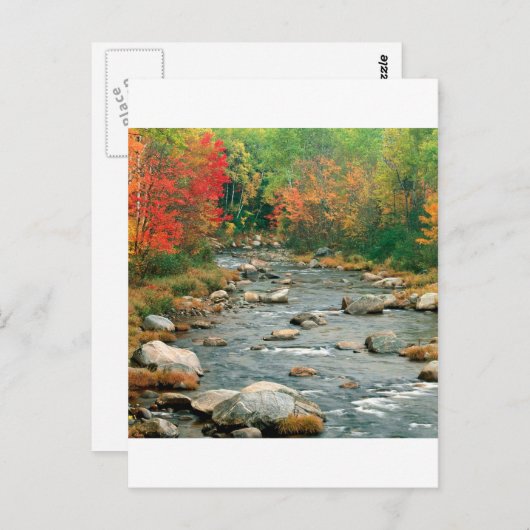 Autumn White Mountains New Hampshire Briefkaart (Voorkant / Achterkant)