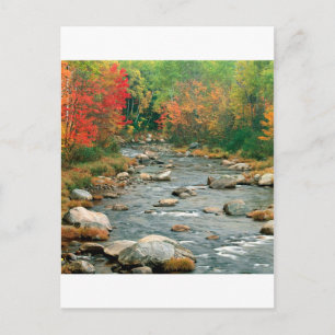 Autumn White Mountains New Hampshire Briefkaart