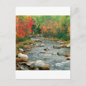 Autumn White Mountains New Hampshire Briefkaart (Voorkant)