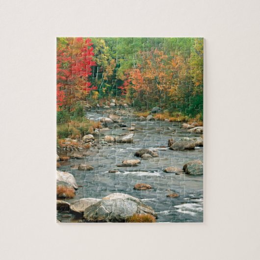 Autumn White Mountains New Hampshire Legpuzzel (Verticaal)