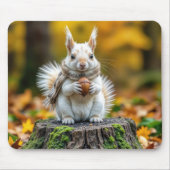 Autumn White Squirrel On a Tree Stump Muismat (Voorkant)