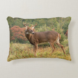 Autumn Whitetail Buck Accent Kussen