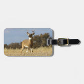 Autumn Whitetail Buck Bagagelabel (Voorkant horizontaal)