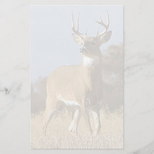 Autumn Whitetail Buck Briefpapier