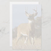 Autumn Whitetail Buck Briefpapier (Voorkant / Achterkant)