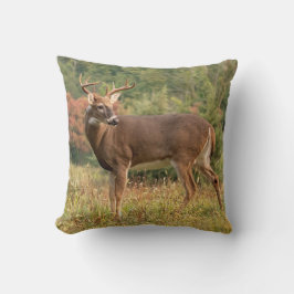 Autumn Whitetail Buck Kussen