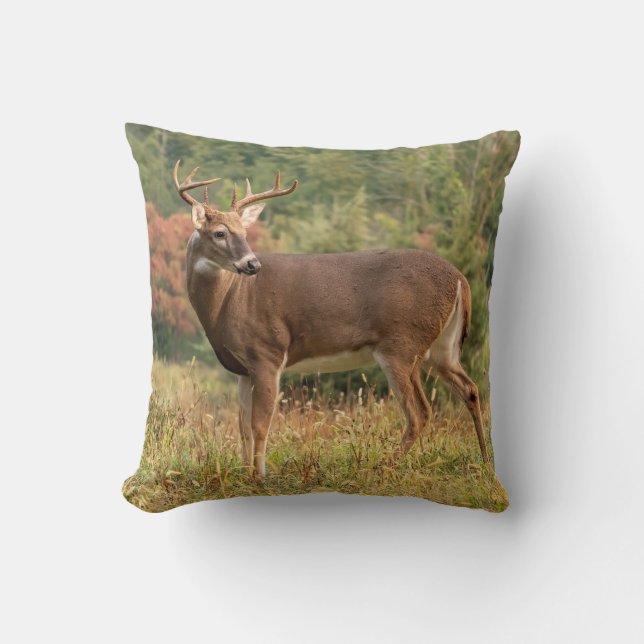 Autumn Whitetail Buck Kussen (Voorkant)