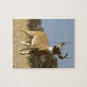 Autumn Whitetail Buck Legpuzzel (Horizontaal)