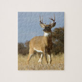Autumn Whitetail Buck Legpuzzel (Verticaal)