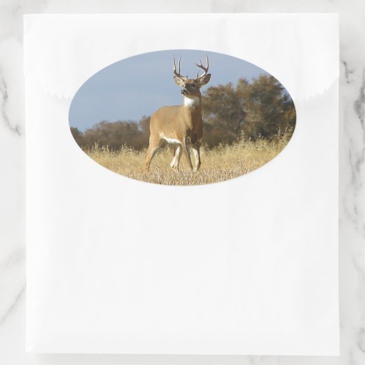 Autumn Whitetail Buck Ovale Sticker (Tas)