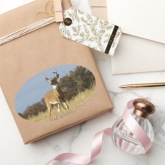 Autumn Whitetail Buck Ovale Sticker (Geschenken)