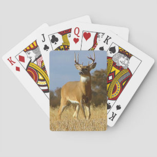 Autumn Whitetail Buck Pokerkaarten