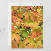 Autumn wild grapevine leaves Thanksgiving Kaart (Achterkant)