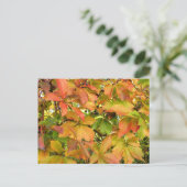 Autumn wilde wijnstokbladeren briefkaart (Staand voorkant)