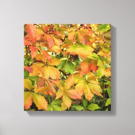 Autumn wilde wijnstokbladeren canvas afdruk