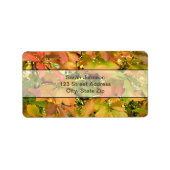 Autumn wilde wijnstokbladeren etiket (Voorkant)