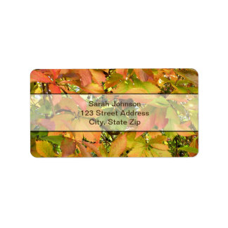 Autumn wilde wijnstokbladeren etiket