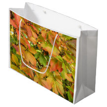 Autumn wilde wijnstokbladeren