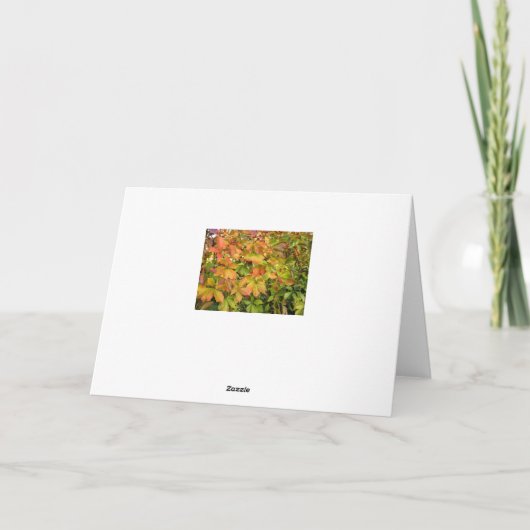 Autumn wilde wijnstokbladeren kaart (Achterkant)