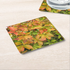 Autumn wilde wijnstokbladeren kartonnen onderzetters