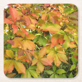 Autumn wilde wijnstokbladeren kartonnen onderzetters (Voorkant)
