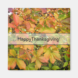 Autumn wilde wijnstokbladeren magneet