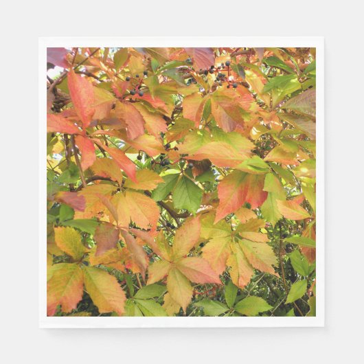 Autumn wilde wijnstokbladeren servet (Voorkant)