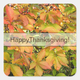 Autumn wilde wijnstokbladeren vierkante sticker
