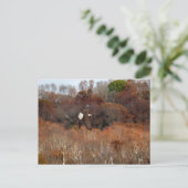 Autumn Wings Briefkaart (Staand voorkant)