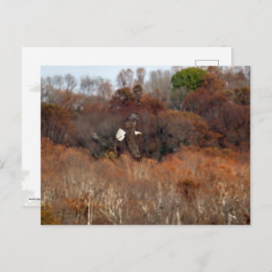 Autumn Wings Briefkaart (Voorkant / Achterkant)