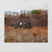 Autumn Wings Briefkaart (Voorkant)