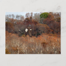 Autumn Wings Briefkaart