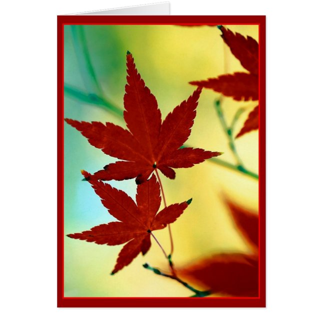 AUTUMN WISHES (Voorkant)