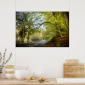 Autumn Woodland (4316) Poster (Keuken)